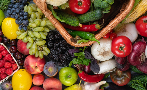Simple, Sustainable Nutrition